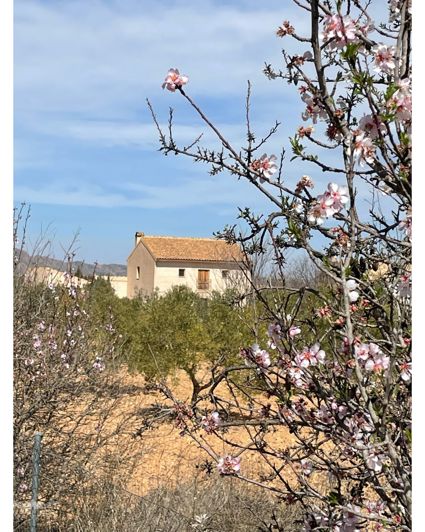 Image No.3-5 Bed Country House for sale