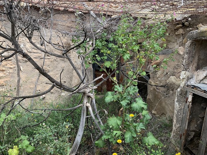 Image No.26-3 Bed Country House for sale