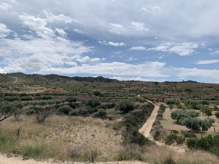 Image No.32-3 Bed Country House for sale