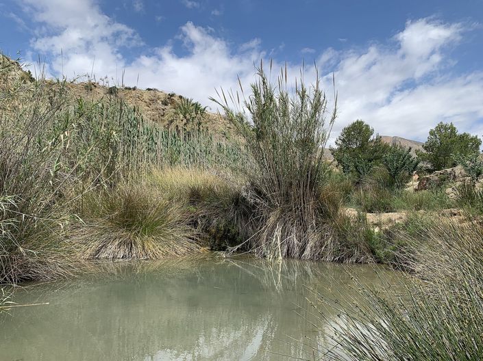 Image No.35-3 Bed Country House for sale