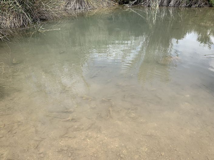 Image No.36-3 Bed Country House for sale