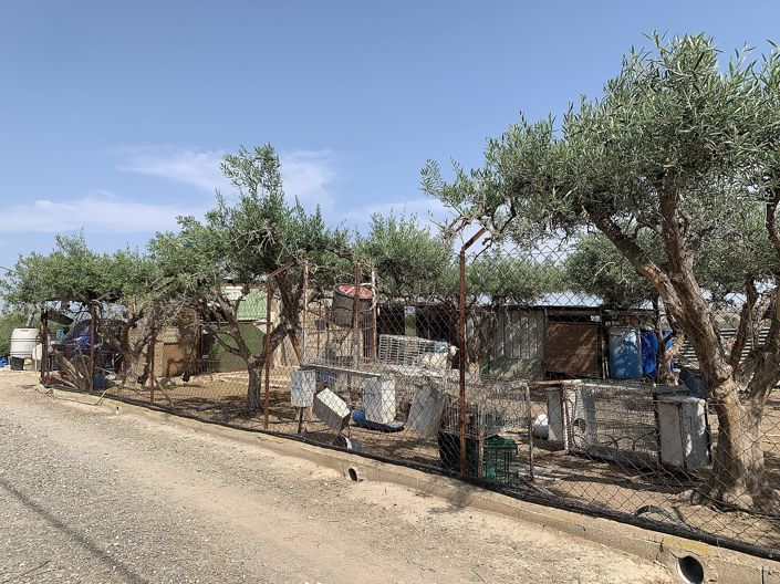 Image No.42-3 Bed Country House for sale