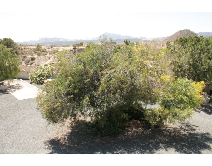 Image No.35-3 Bed Villa for sale