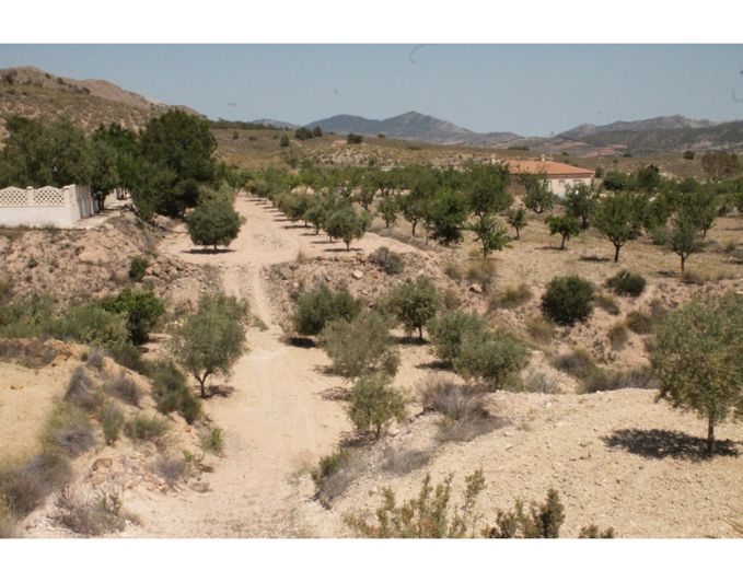 Image No.47-3 Bed Villa for sale