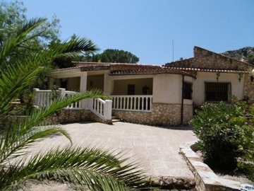 wp1000529