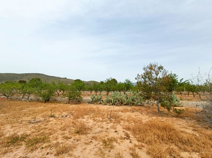 Image No.34-4 Bed Villa for sale