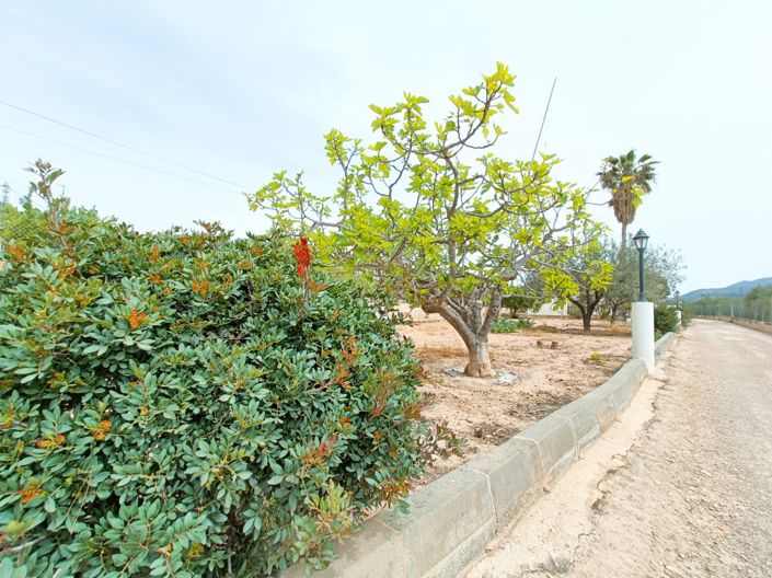 Image No.6-4 Bed Villa for sale