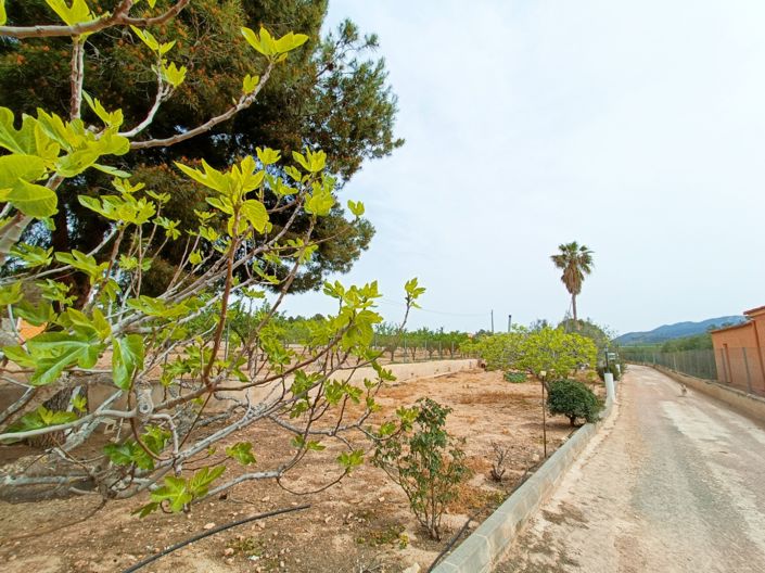 Image No.7-4 Bed Villa for sale