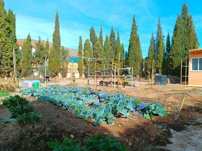 Image No.48-5 Bed Villa for sale