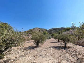 woqdu67wgrujiiv3i5ccf