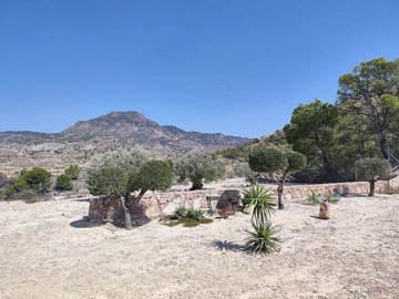 w6wzhaynmwvxh2273h6hb