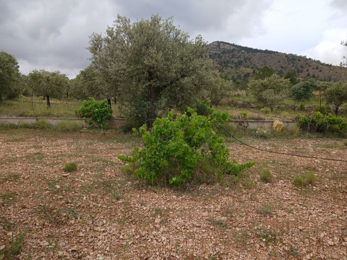 Image No.18-5 Bed Country House for sale