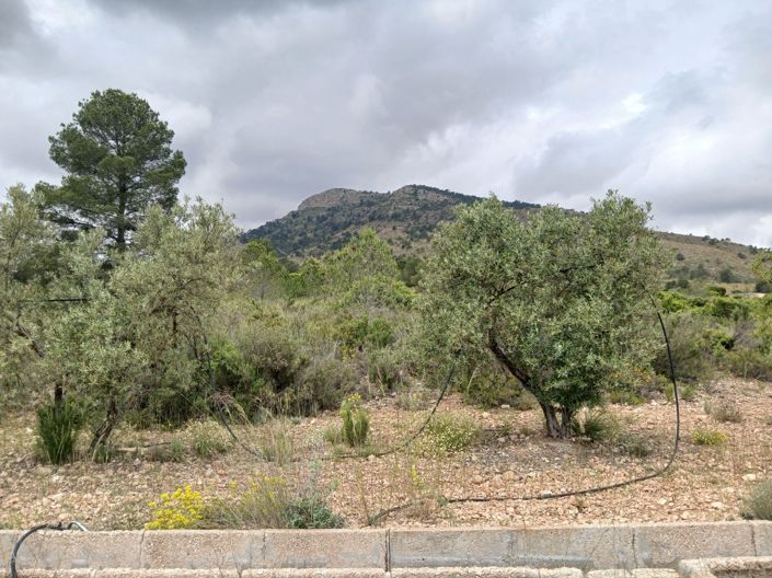 Image No.3-5 Bed Country House for sale