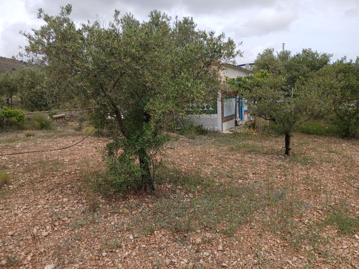 Image No.36-5 Bed Country House for sale