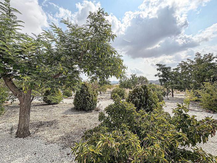 Image No.9-5 Bed Villa for sale