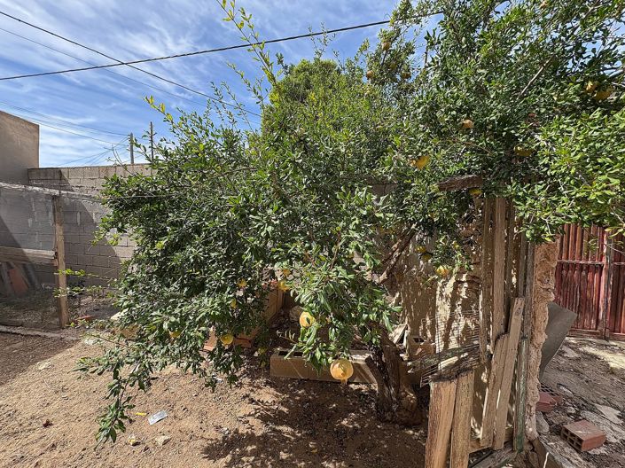 Image No.27-Propriété de 6 chambres à vendre à Pinoso