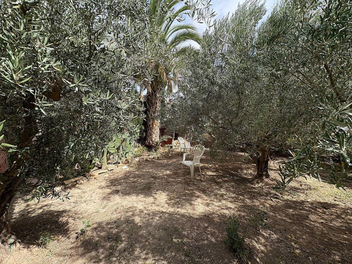 Image No.28-Propriété de 6 chambres à vendre à Pinoso