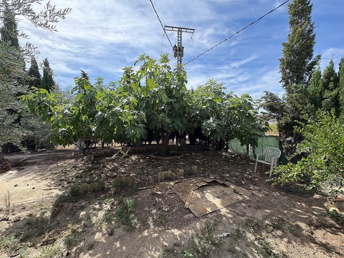 Image No.29-Propriété de 6 chambres à vendre à Pinoso
