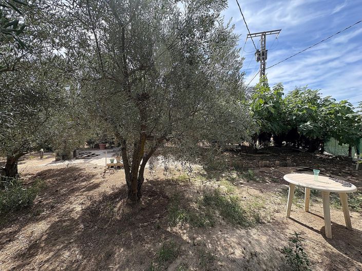 Image No.30-Propriété de 6 chambres à vendre à Pinoso