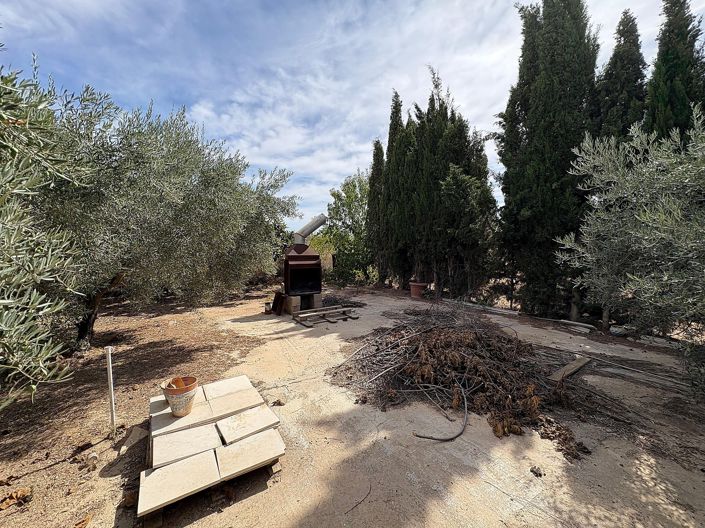 Image No.31-Propriété de 6 chambres à vendre à Pinoso