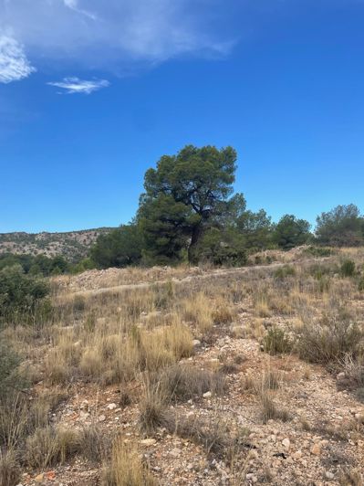 Image No.20-2 Bed Land for sale