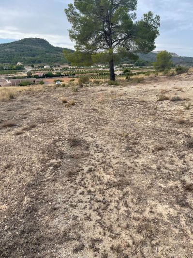 Image No.28-2 Bed Land for sale