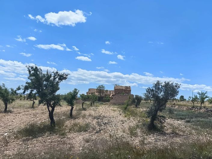 Image No.20-Property for sale