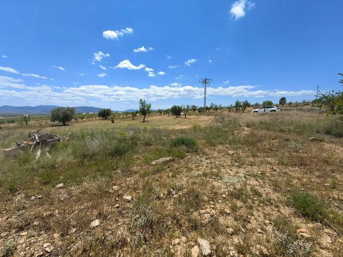 Image No.3-Property for sale