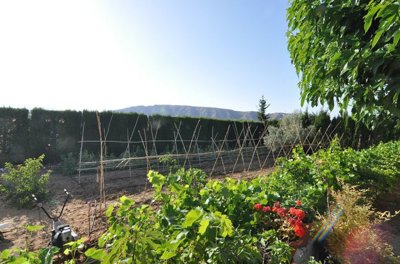 wotvtw3y0y8spqs3zb3ib