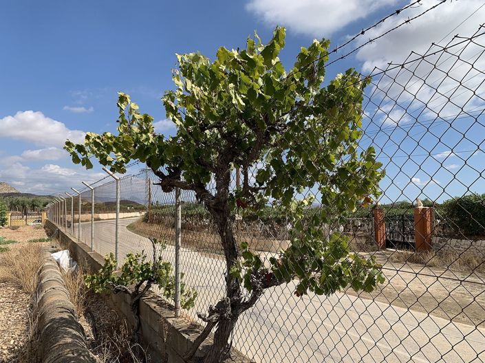 Image No.48-4 Bed Villa for sale