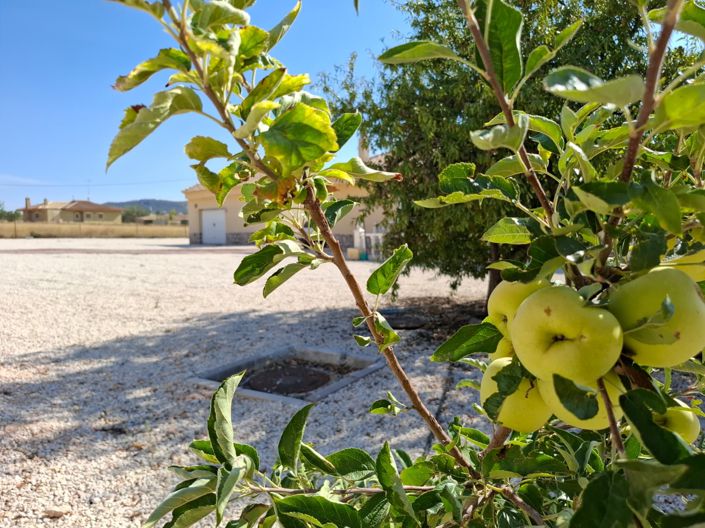 Image No.50-4 Bed Villa for sale