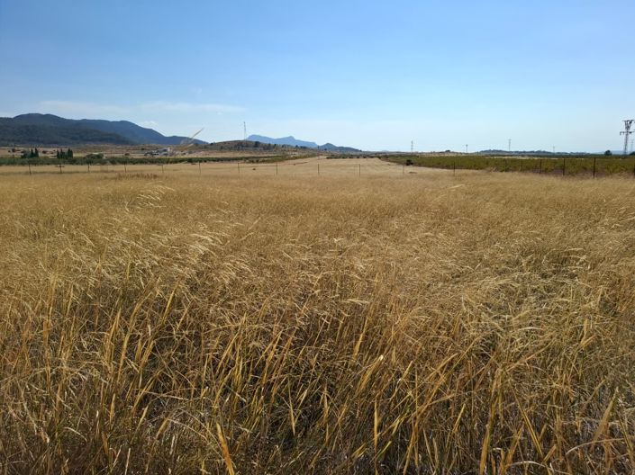 Image No.51-4 Bed Villa for sale