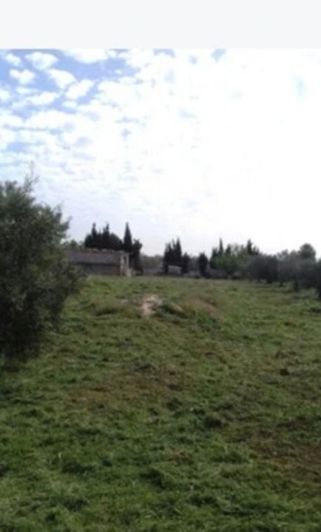 Image No.8-1 Bed Country House for sale