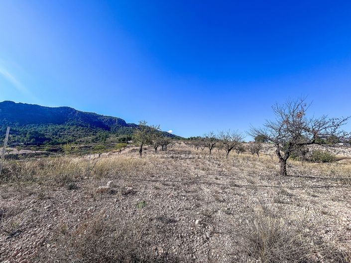 Image No.27-2 Bed Country House for sale