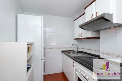 property234439464