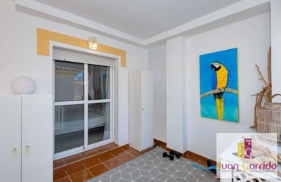 property234439636