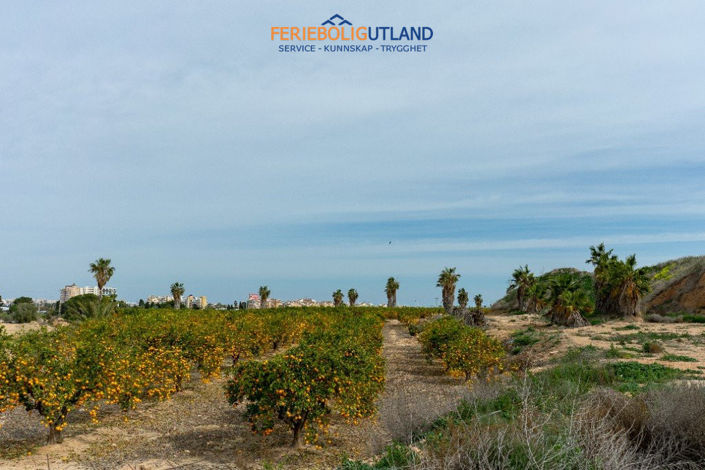 Image No.42-2 Bed Villa for sale