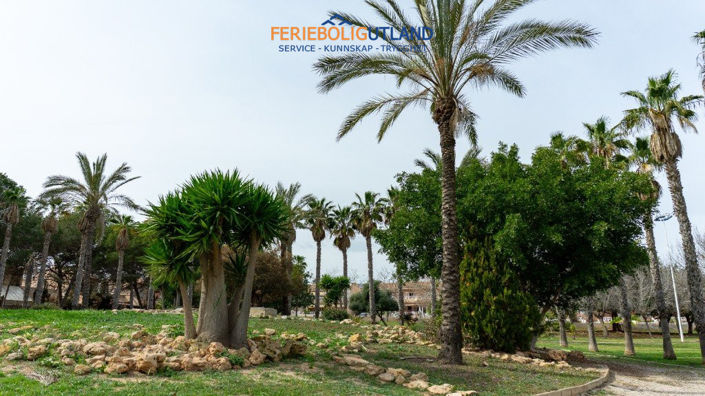 Image No.47-2 Bed Villa for sale