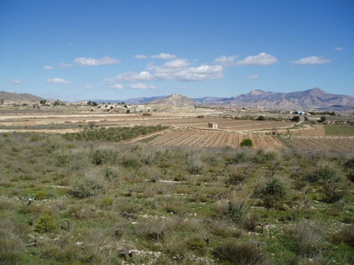 Image No.3-Property for sale