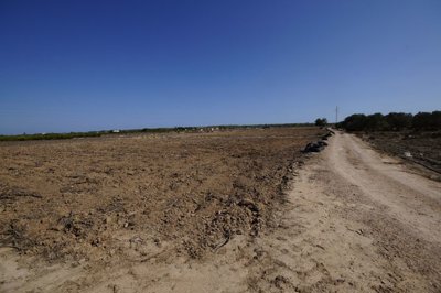 o1impeu4r31jilkprad01l464kk20