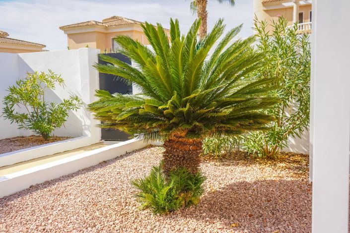 Image No.26-3 Bed Quad for sale