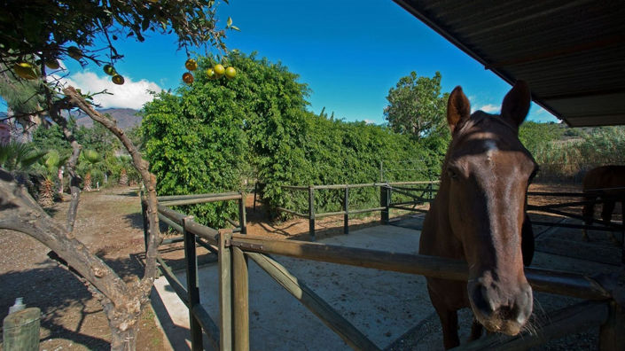 Image No.19-3 Bed Property for sale