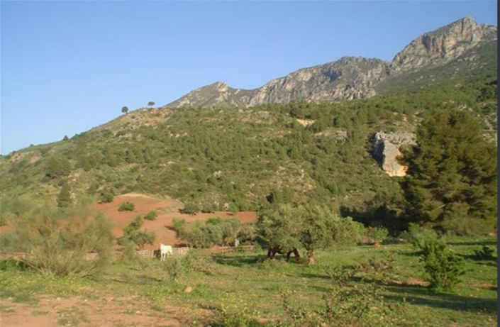 Image No.21-3 Bed Property for sale