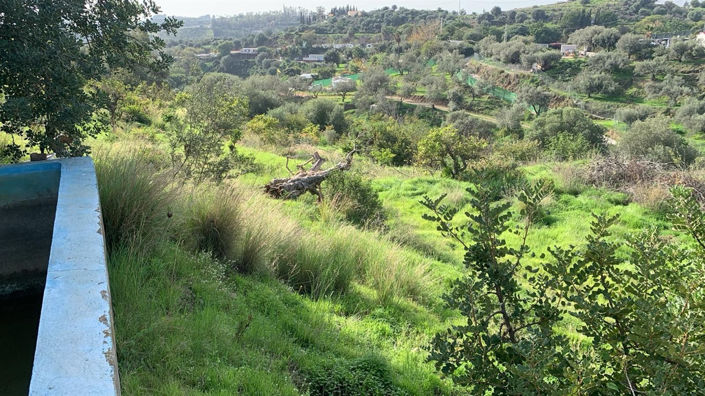 Image No.12-3 Bed Property for sale