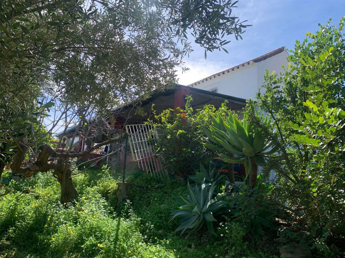 Image No.19-3 Bed Property for sale