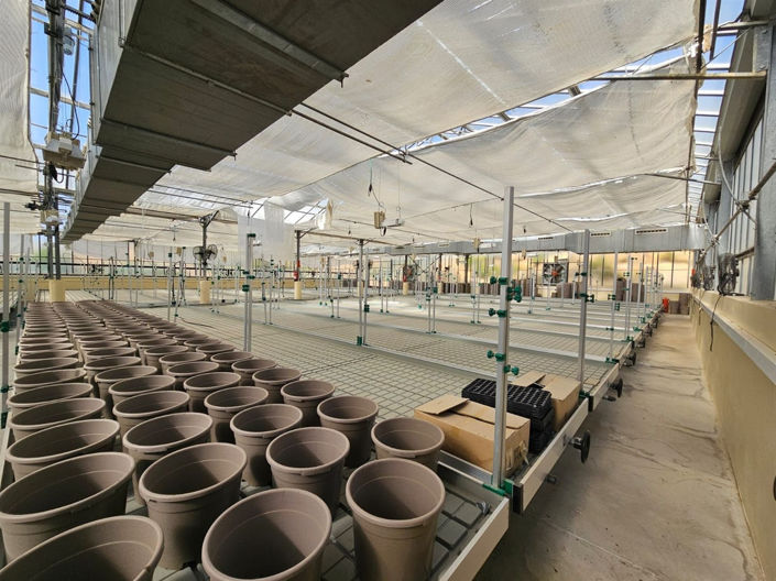 Image No.4-6 Bed Property for sale