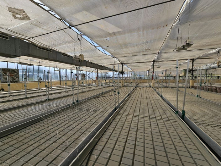 Image No.5-6 Bed Property for sale