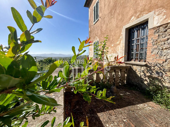 Image No.23-2 Bed Apartment for sale