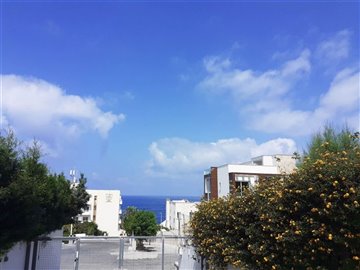 2c782216-ab50-4dfe-8d11-20fcf911a0b3