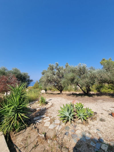 Image No.23-Maison de 4 chambres à vendre à Paphos